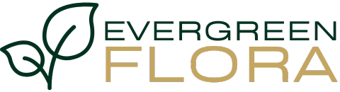 EvergreenFlora